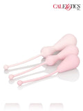 Kegel Egzersizleri Eğitim Seti - 3002480705 Kegel Egzersizleri Eğitim Seti - 3002480705