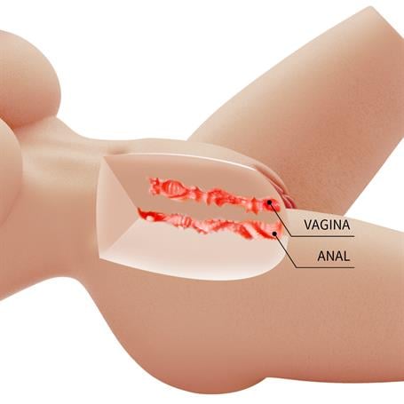 3 Boyutlu İki İşlevli Yarım Vücut Anal Vajinal Silikon Seksi Manken - Lily - BDM1478