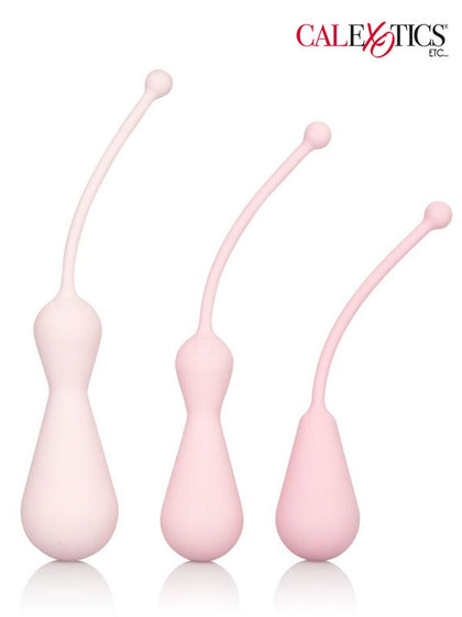Kegel Egzersizleri Eğitim Seti - 3002480705