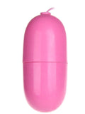 CENSAN Kumandalı Yumurta Vibratör - C-7579