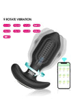 Censan Sledgehammer Swing – Telefon Kontrollü Titreşimli Anal Plug (Siyah) - C-7651
