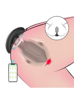 Censan Sledgehammer Swing – Telefon Kontrollü Titreşimli Anal Plug (Siyah) - C-7651