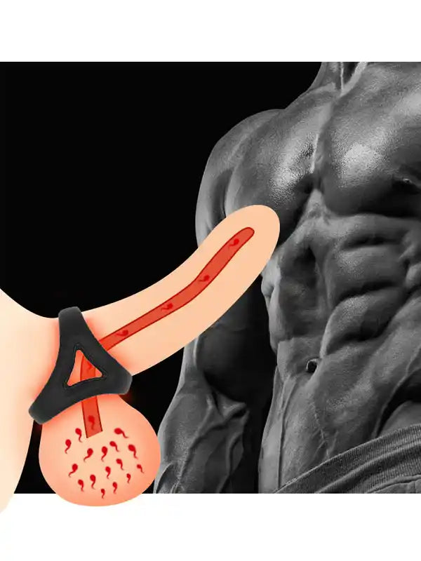 NOXXX Penis ve Testis Halkası - 302302