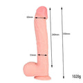 33 cm.Realistik Vantuzlu Dildo Penis - FA-XM238