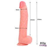 Evatoy 31 cm. Belden Bağlamalı Realistik Penis - FA-XM288B